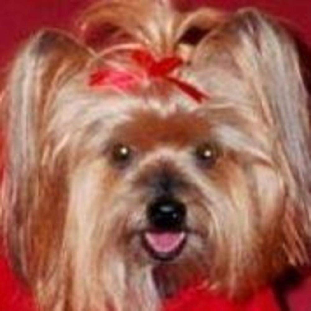 Meet your Posher, Carol